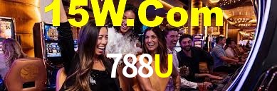 Programa VIP 788U